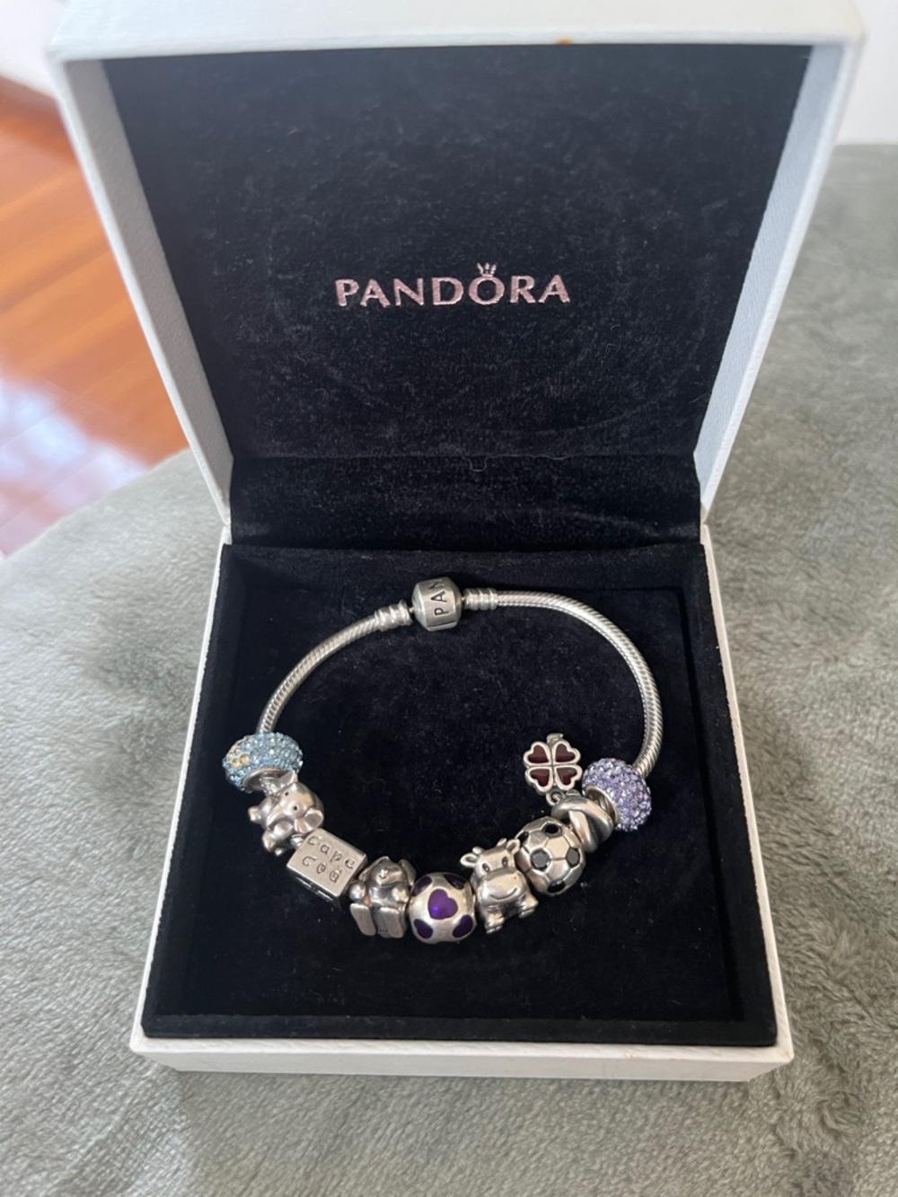 Pandora Bracelet with charms
